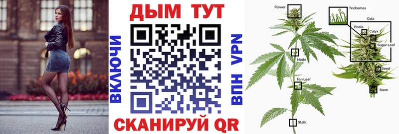 Бошки марихуана индика  Купить где  Ленинск-Кузнецкий 